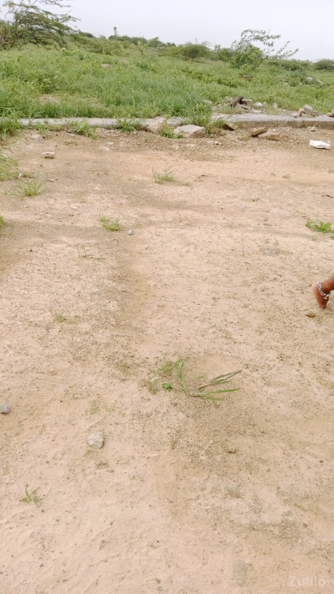 બુધાભા ફોન નંબર 9898245616
