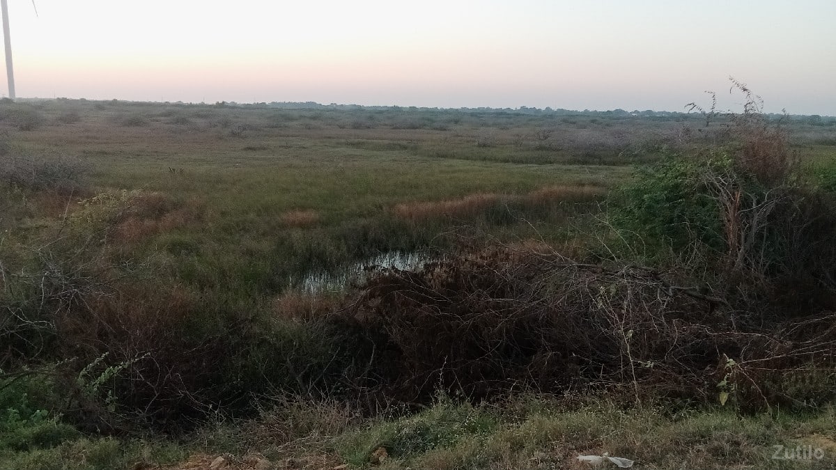 જમીન વેચવાની છે