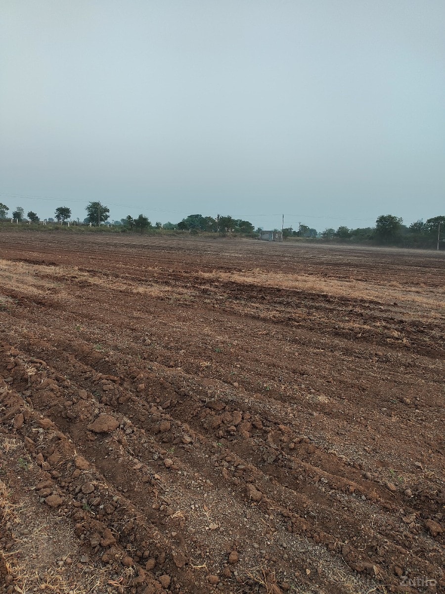વેચાણ - Land & Plots - Gondal - Image 3