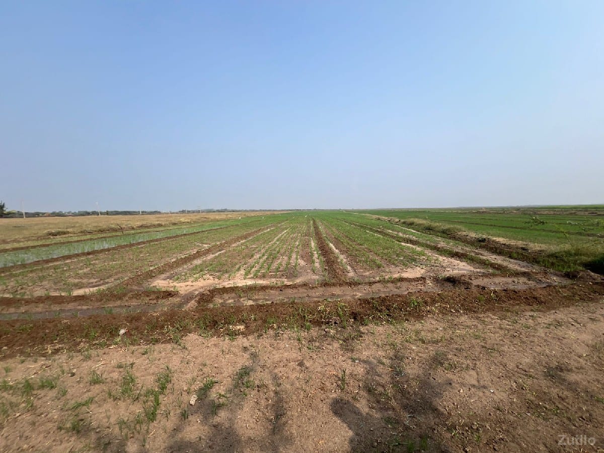 જમીન વેચવાની છે 
સોમનાથ દ્વારકા - Land & Plots - Gandhinagar City - Image 2