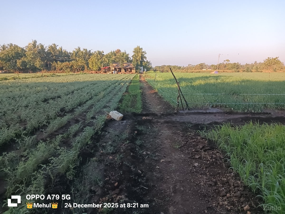જમીન વેસવાની છે. જમીન વેસવાની છે.