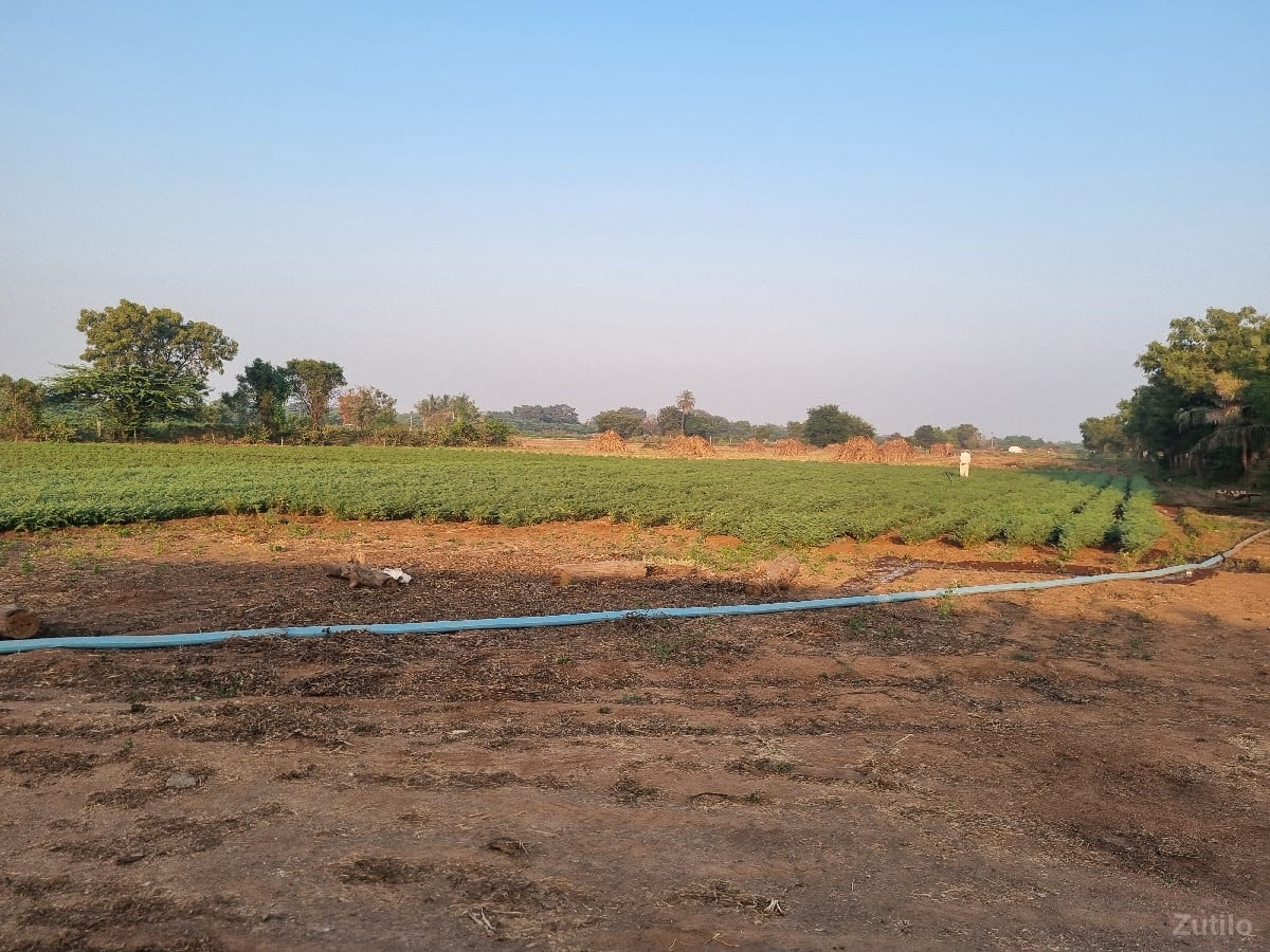 9227054640 મા કોઈ એ ફોન ન કરવૌ - Land & Plots - Jamnagar City - Image 2
