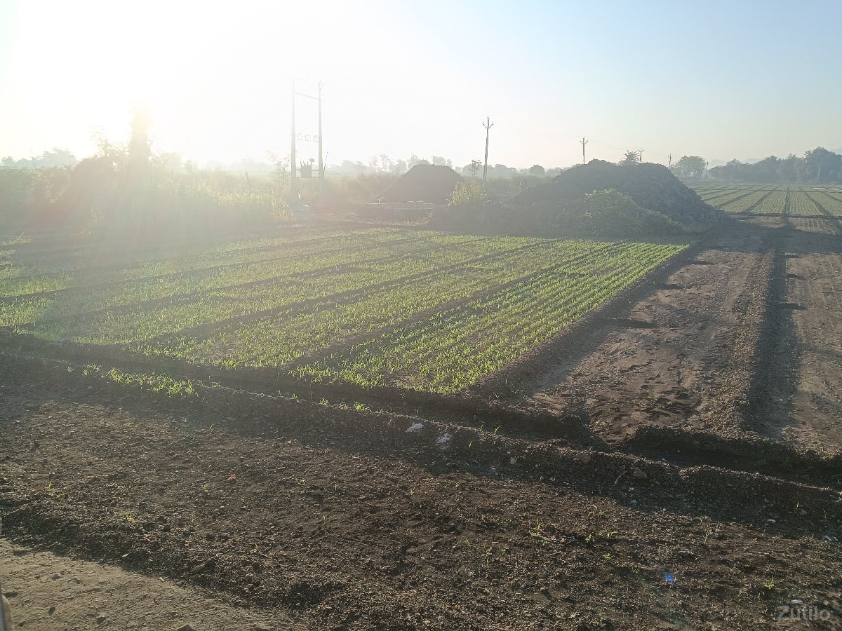 jamen veshvani se - Land & Plots - Bhanvad - Image 2