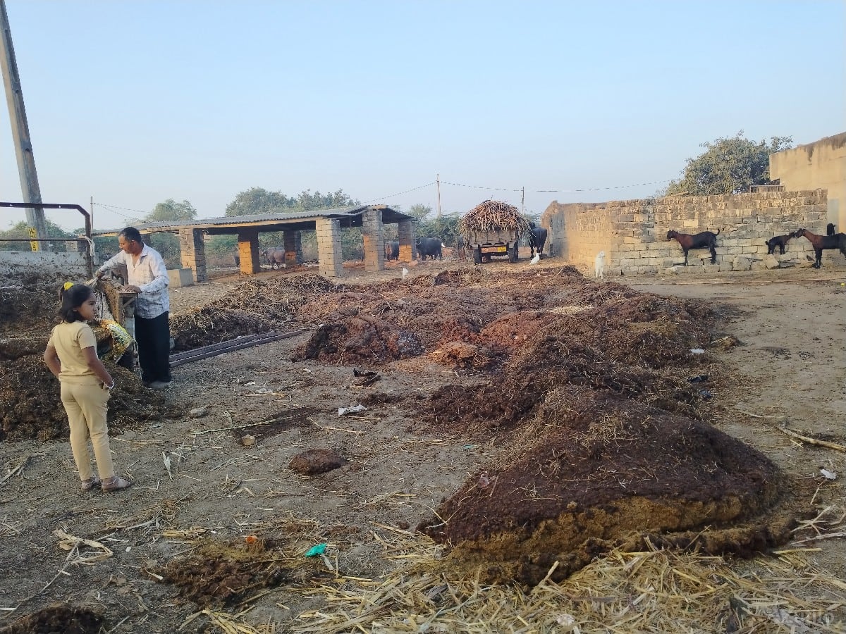 ખાતર ખાતર