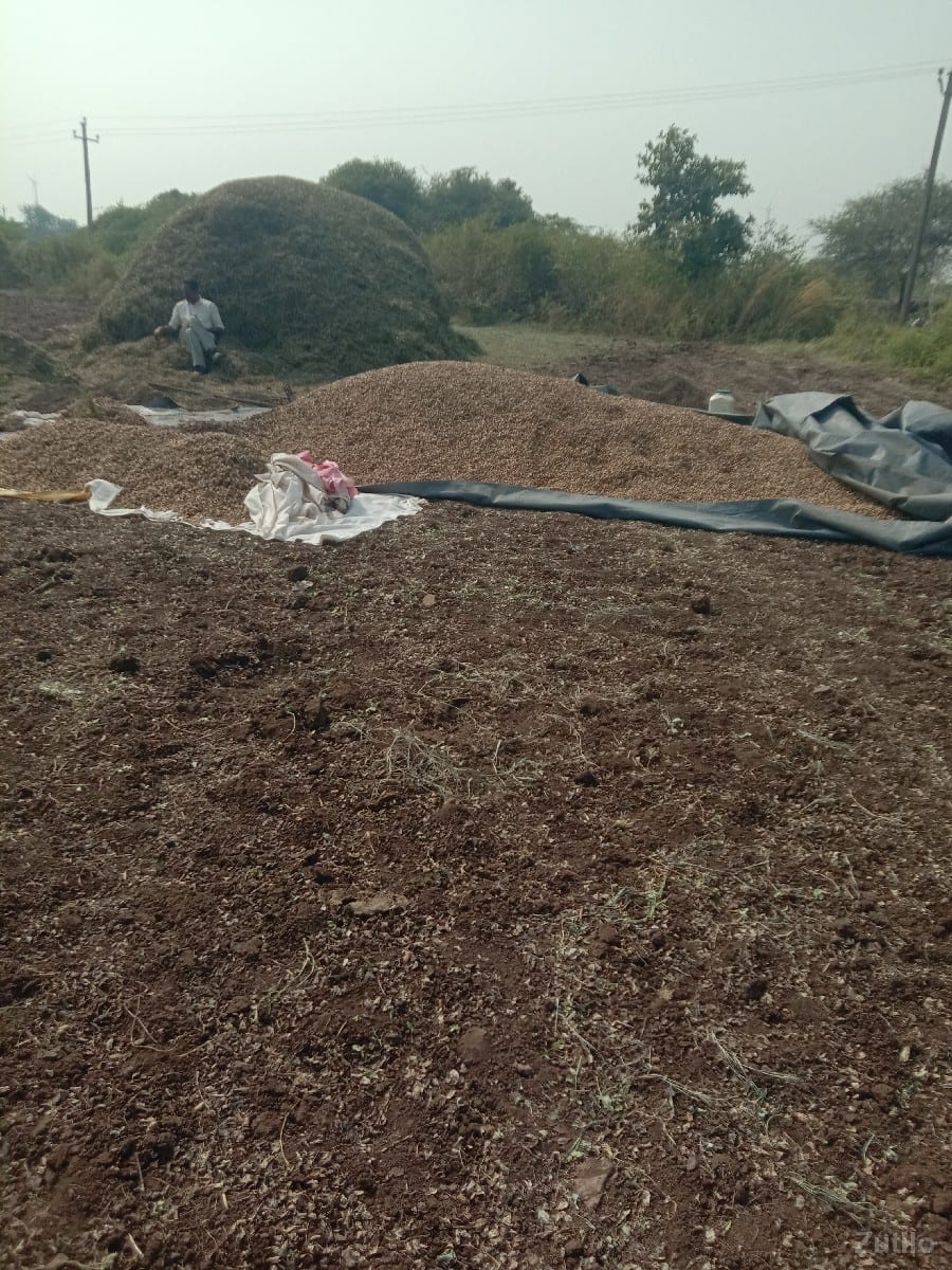 જમીન વેશવાની છે - Land & Plots - Jamjodhpur - Image 2