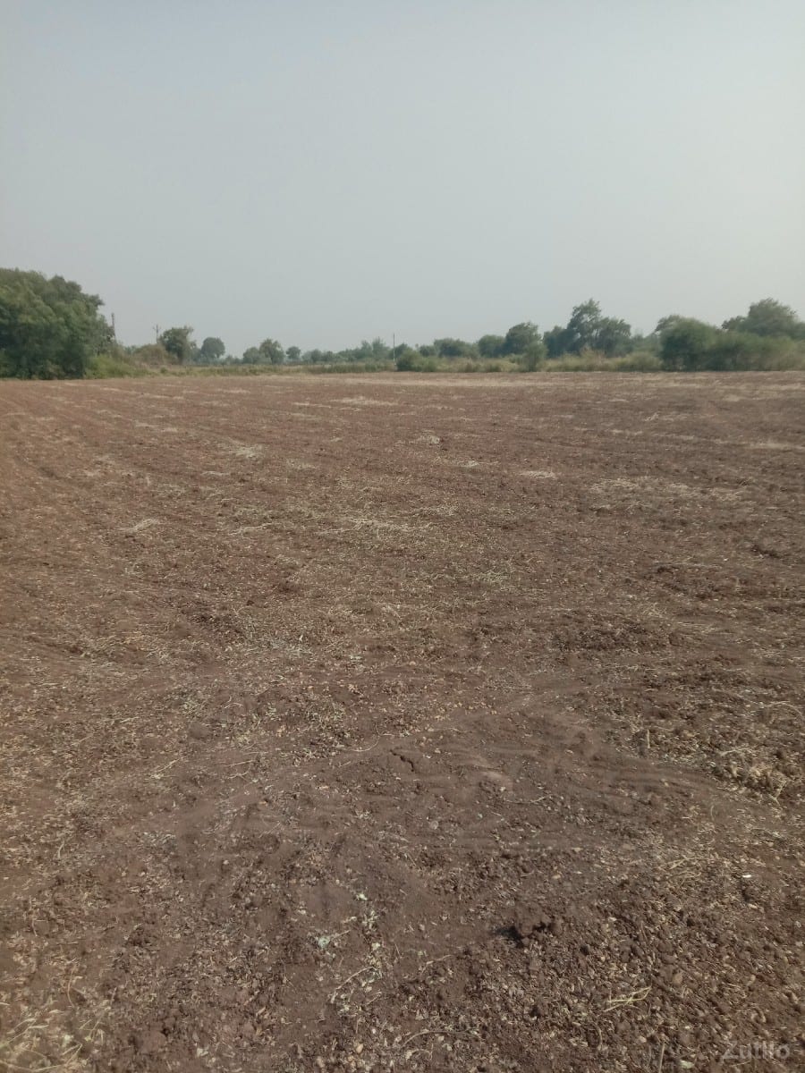 જમીન વેશવાની છે - Land & Plots - Jamjodhpur - Image 3