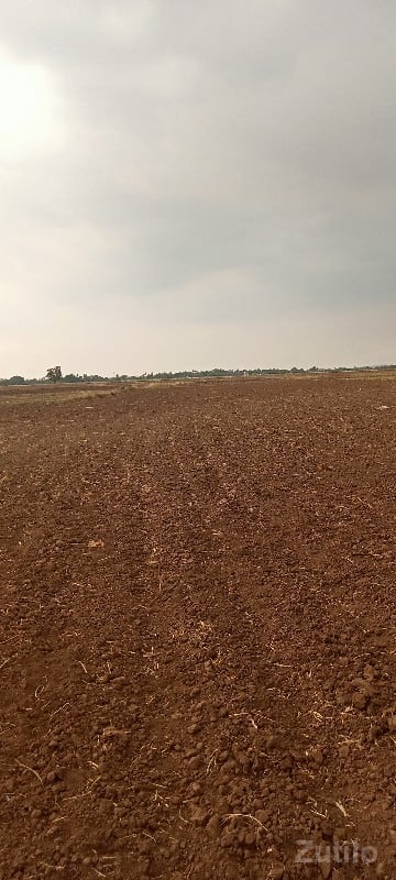 જમીન જમીન