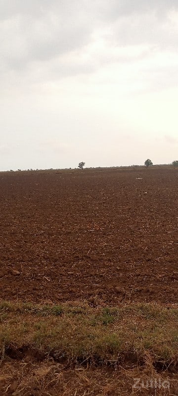 જમીન - Land & Plots - Kutiyana - Image 2