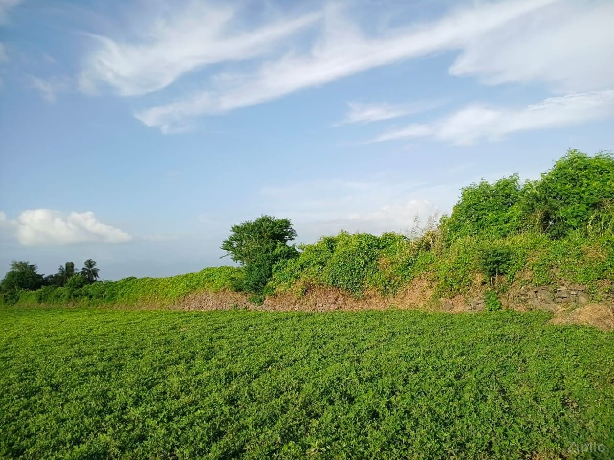જમીન વેચવાની છે જમીન વેચવાની છે
