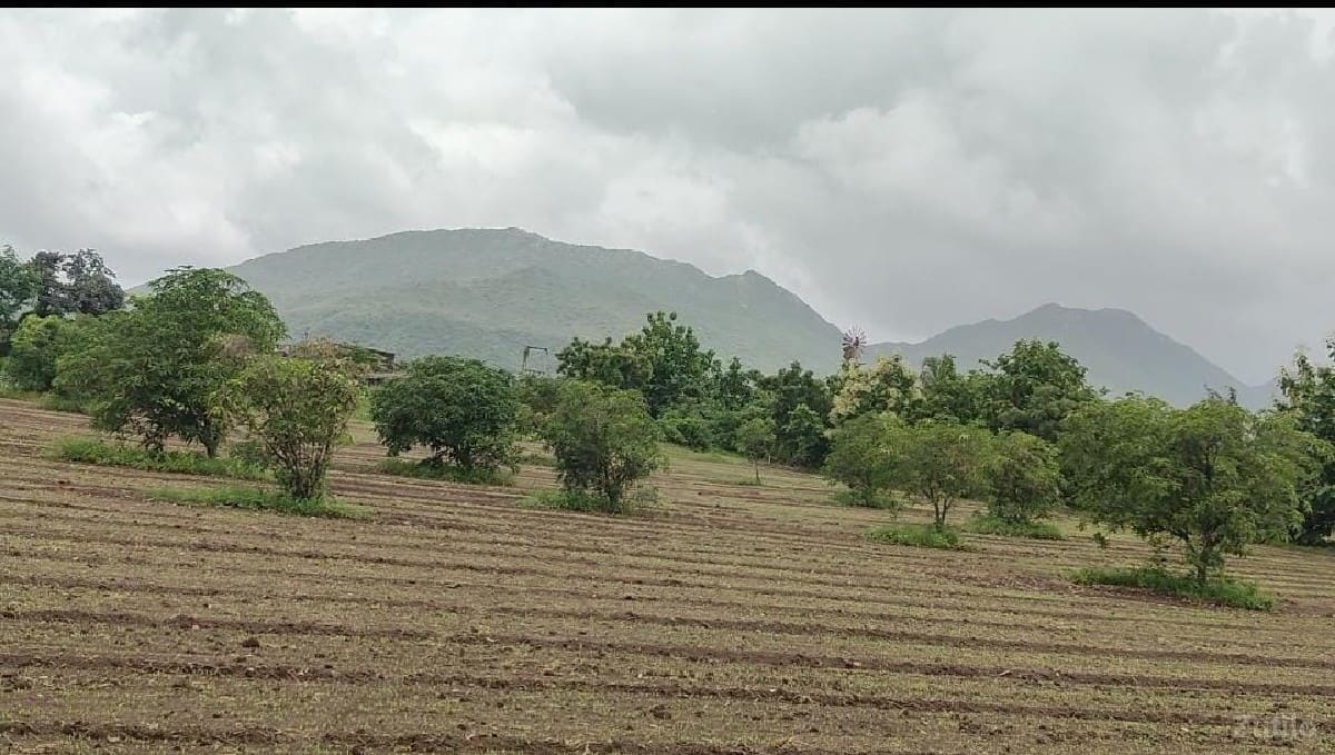 જમીન વેચવાની છે - Land & Plots - Bhanvad - Image 2