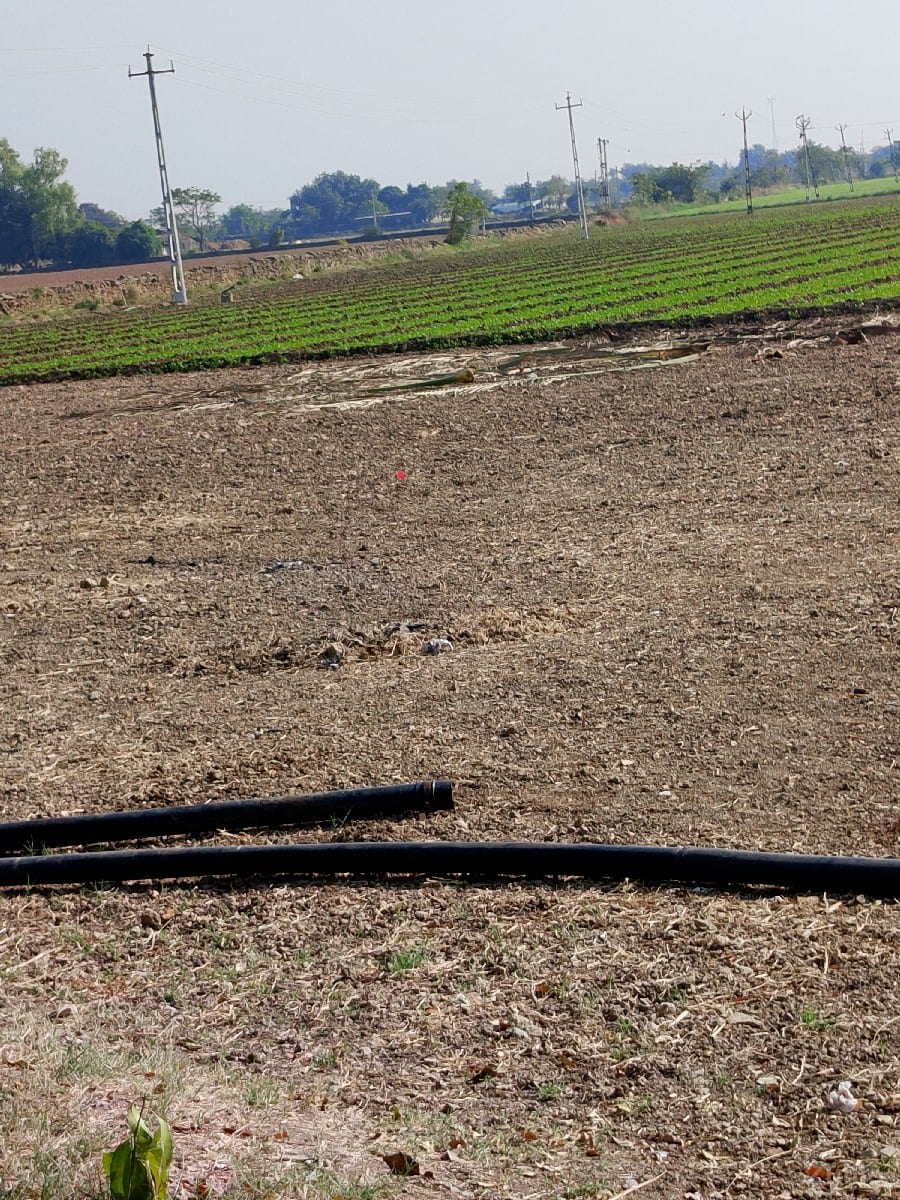 vesvani - Land & Plots - Vadodara City - Image 2