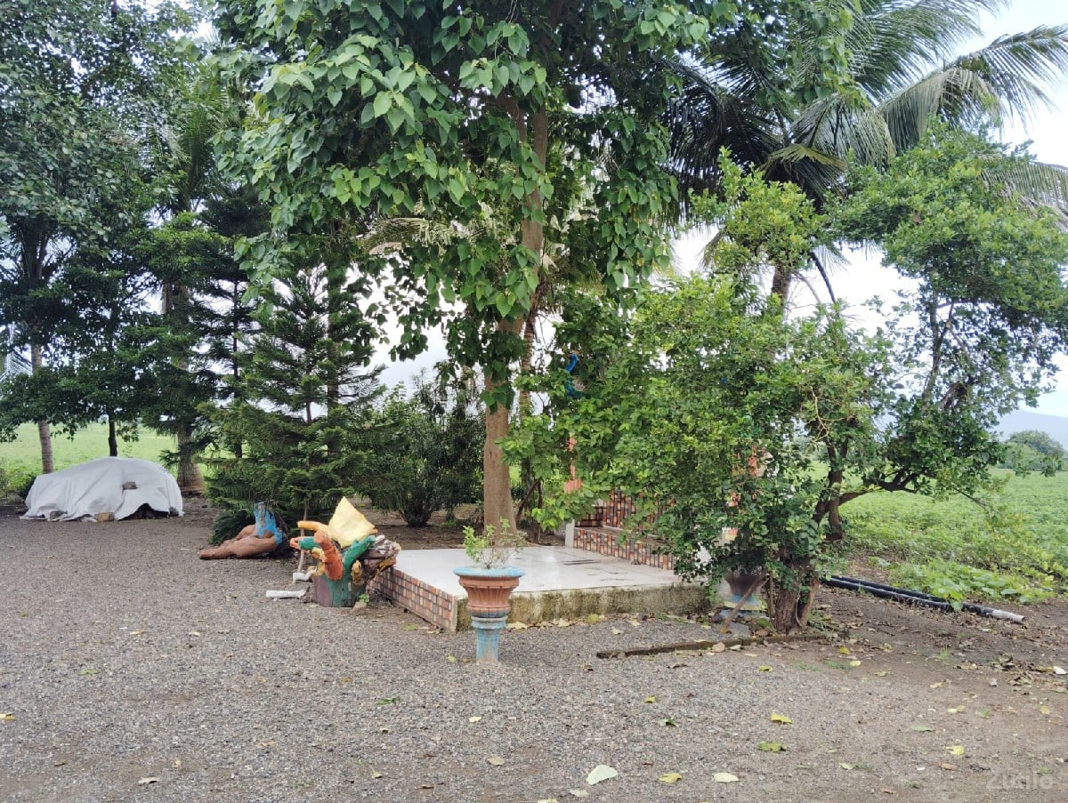 જમીન વેચવાની છે જમીન વેચવાની છે
