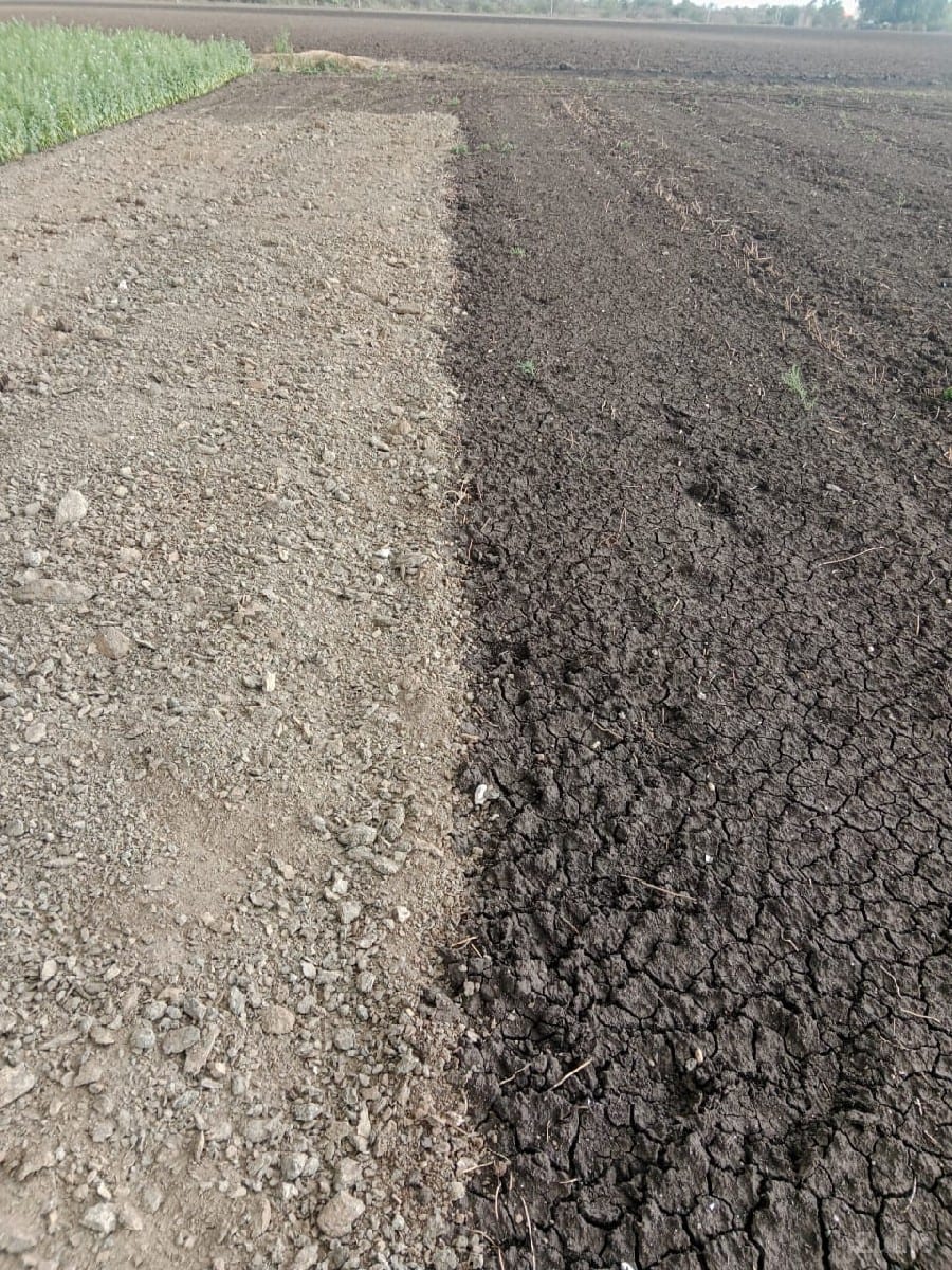 જમીન વેચવાની છે (ટાઈટલ ક્લિયર) - Land & Plots - Bhanvad - Image 3