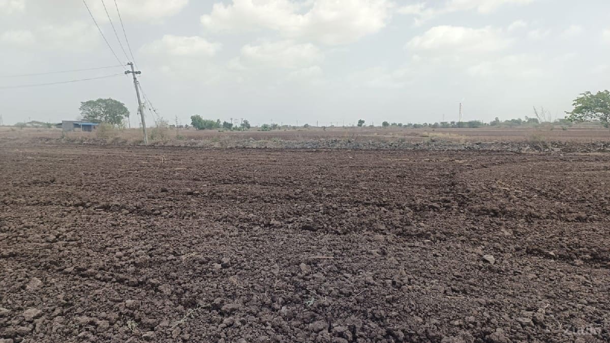 13 વિઘા જમીન વેચવાની છે.