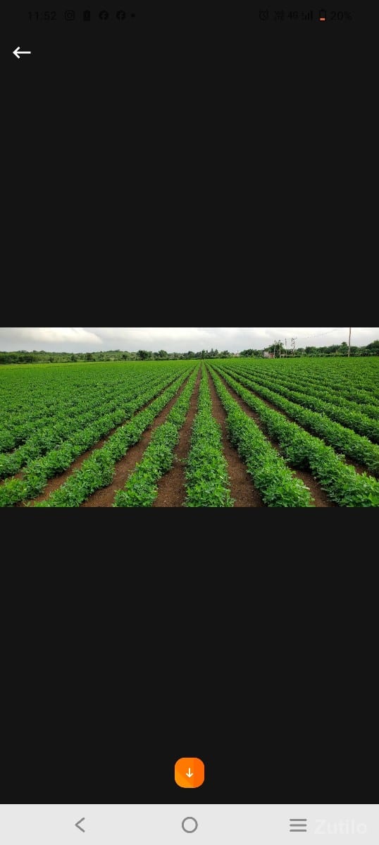 ભાણવડ તાલુકો જીલ્લો દેવભૂમિ દ્વારકા