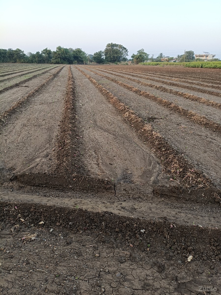 ચોકલી ગામ રોડ ટચ - Land & Plots - Una - Image 2