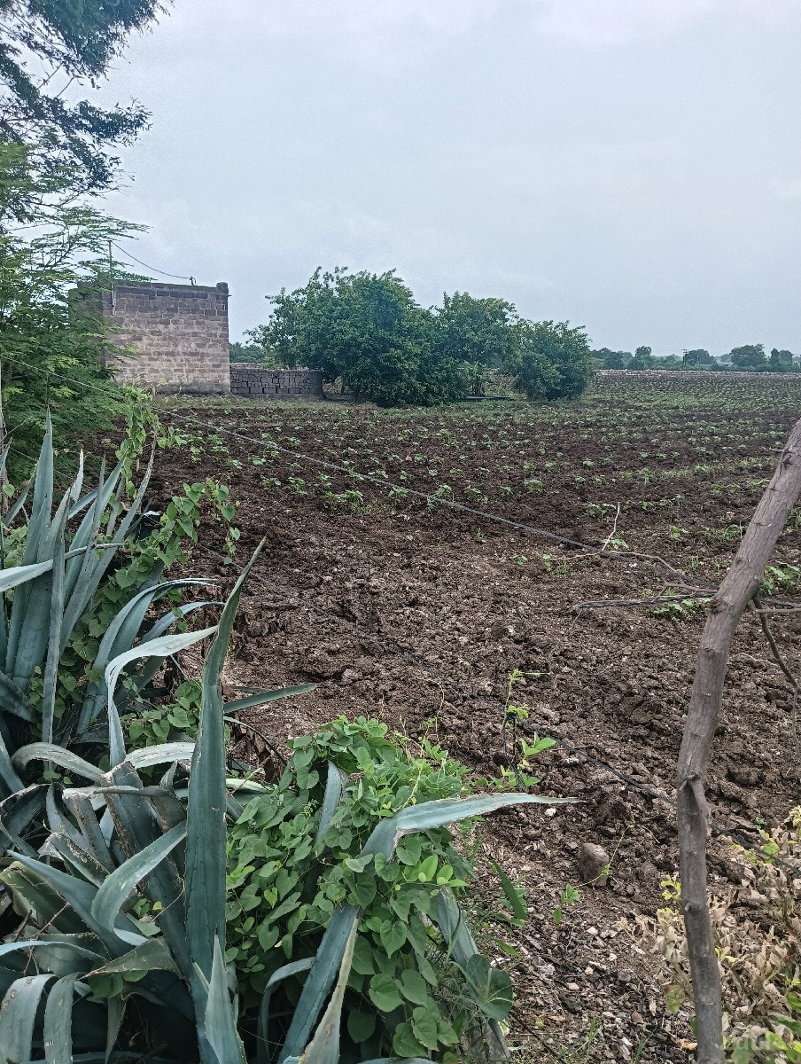 જમીન વેચવાની છે