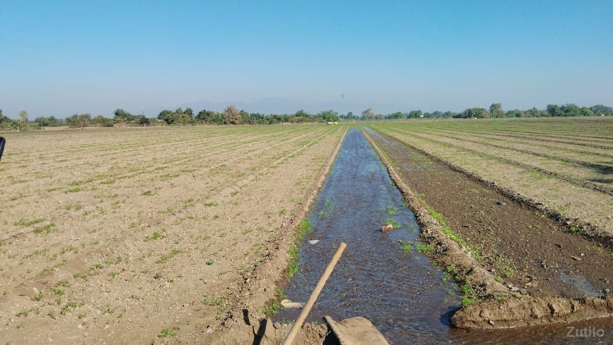 જમીન વેચવાની છે - Land & Plots - Mendarda - Image 2