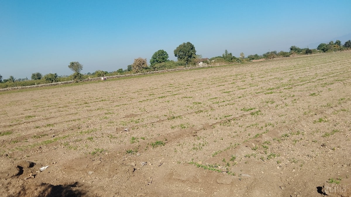 જમીન વેચવાની છે - Land & Plots - Mendarda - Image 3