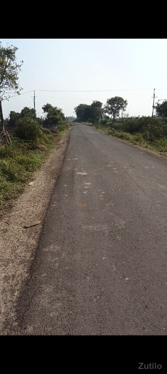 13 વીઘા જમીન - Land & Plots - Babra - Image 2