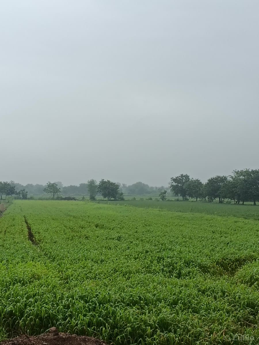 વેચવાની છે વેચવાની છે