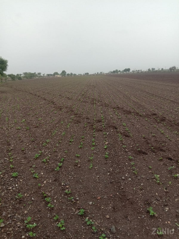 જમીન