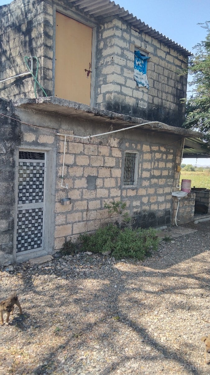 30 vigha vadi full pani - જમીન અને પ્લોટ - ઉપલેટા - Image 2