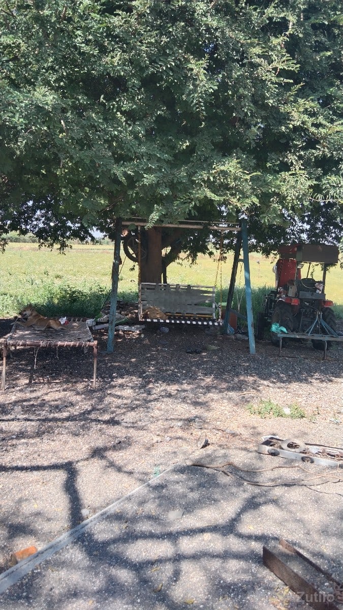 30 vigha vadi full pani - જમીન અને પ્લોટ - ઉપલેટા - Image 3