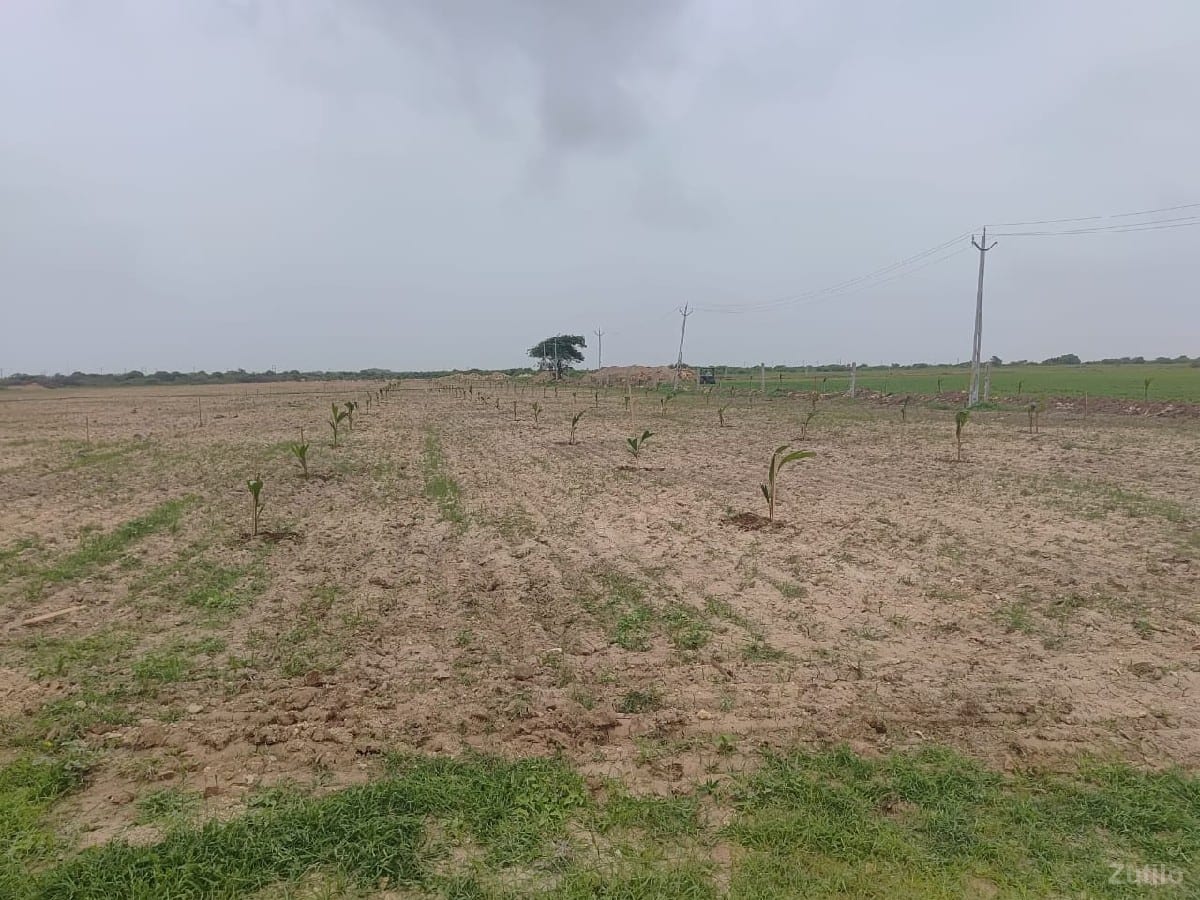 જમીન વેચવાની છે