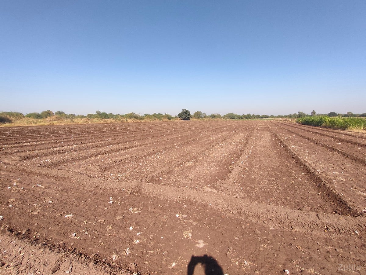 ખેતી ની જમીન વેચવા ની છે - Land & Plots - Jamkandorna - Image 2