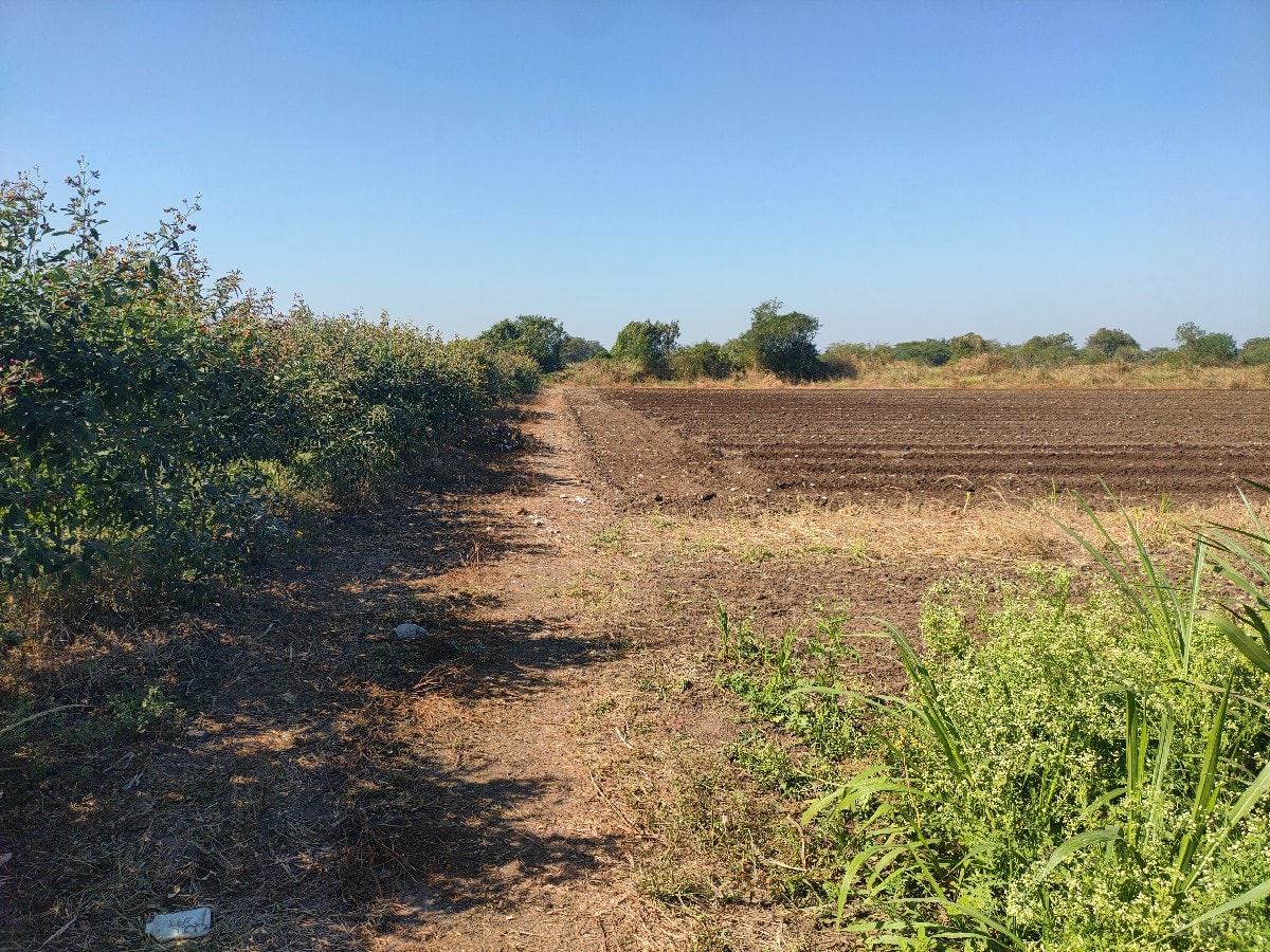 ખેતી ની જમીન વેચવા ની છે - Land & Plots - Jamkandorna - Image 3