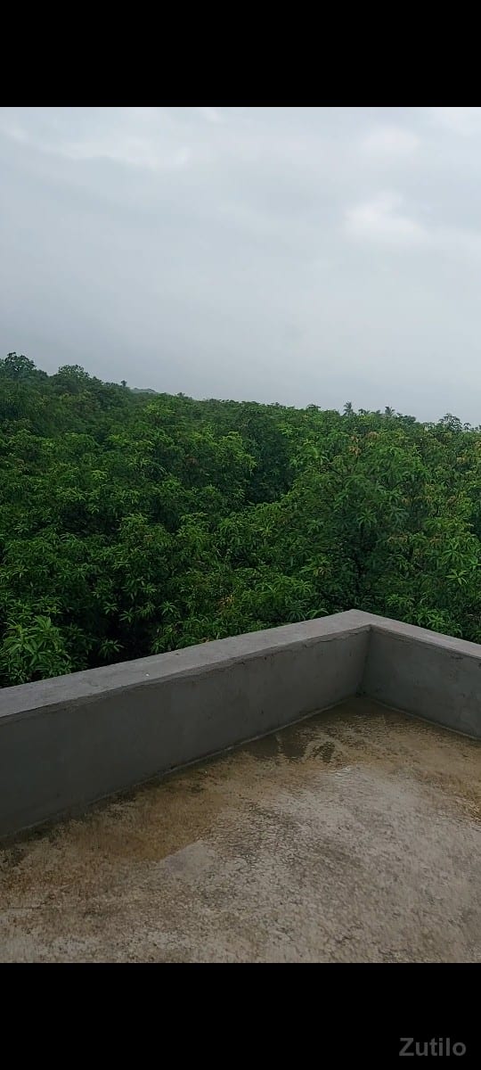 રાળા.નાજાભાઈ. - Land & Plots - Somnath - Image 3