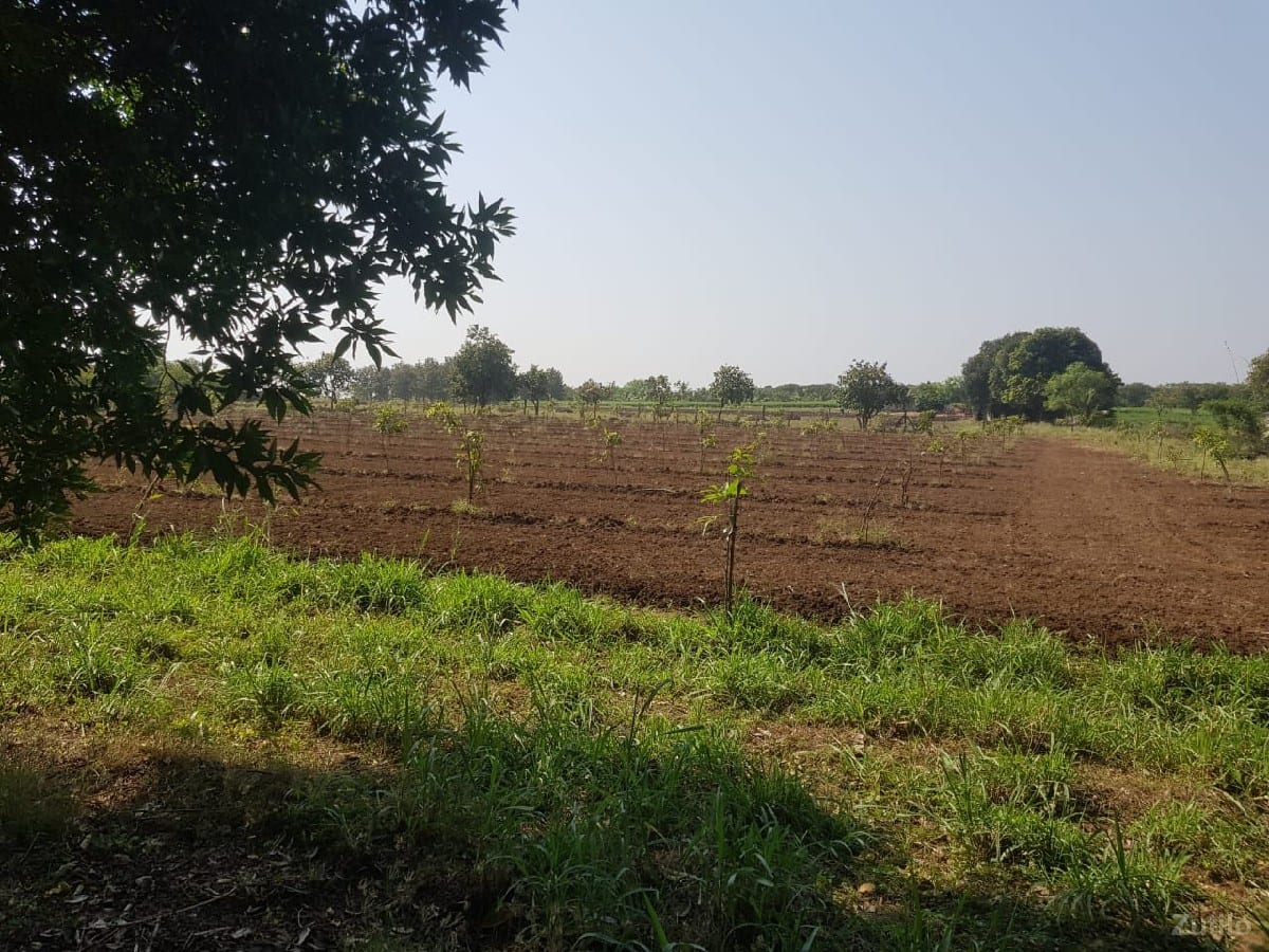 જમીન વેચવાની છે