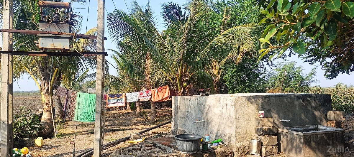 17vigha jamin vesvani se - Land & Plots - Jamjodhpur - Image 3