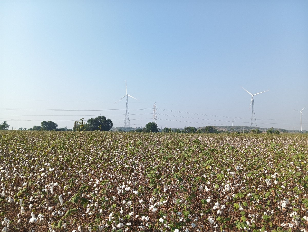 4 Acer jamin - Land & Plots - Jamnagar City - Image 2
