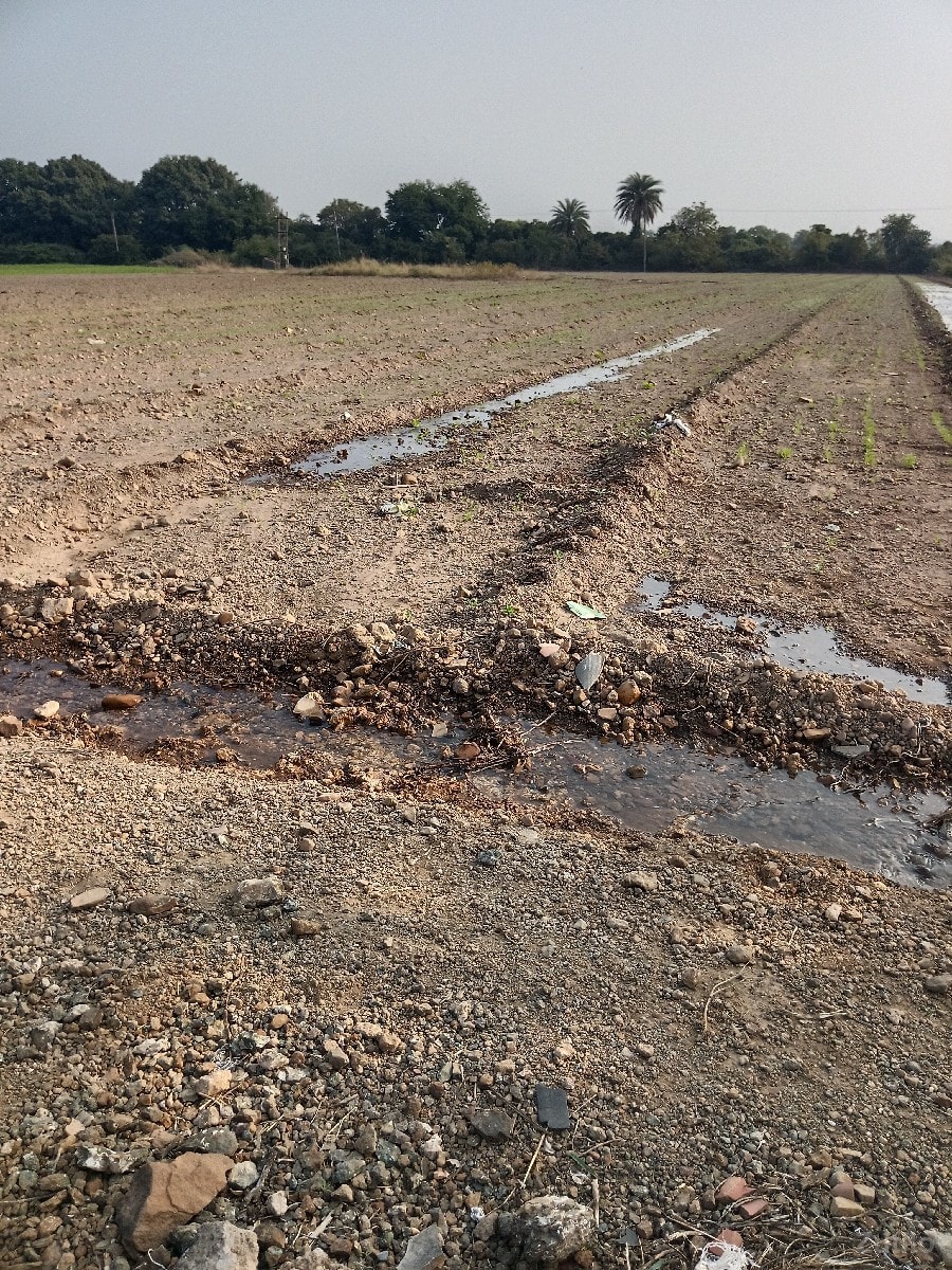 5/6/7//8/જેવીજોતીતવીમણસ - Land & Plots - Jamjodhpur - Image 2
