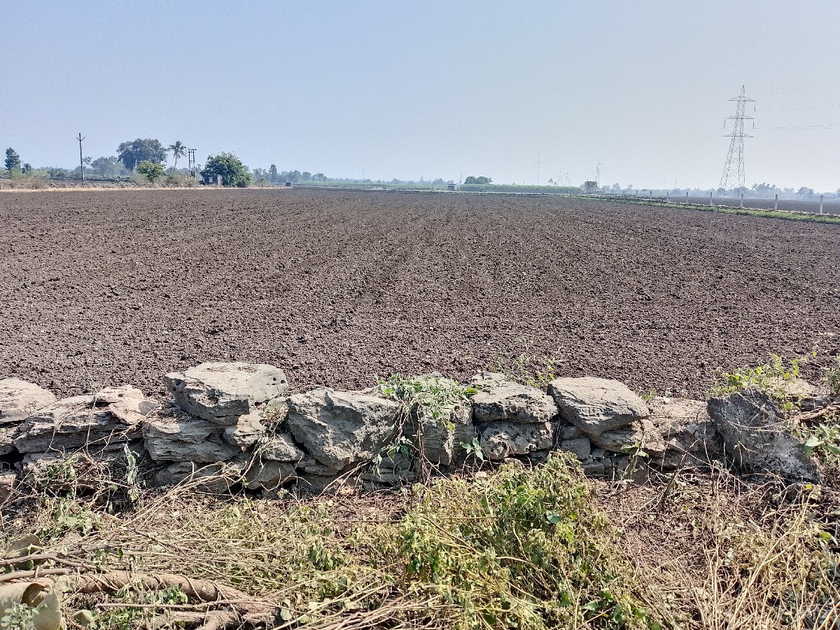 7.5 વિઘા હાઈવે ની બાજુમાં - Land & Plots - Khambha - Image 2