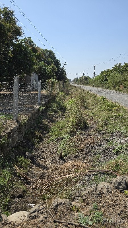 aakovadi thi rasulpar rod upar - Land & Plots - Kodinar - Image 2