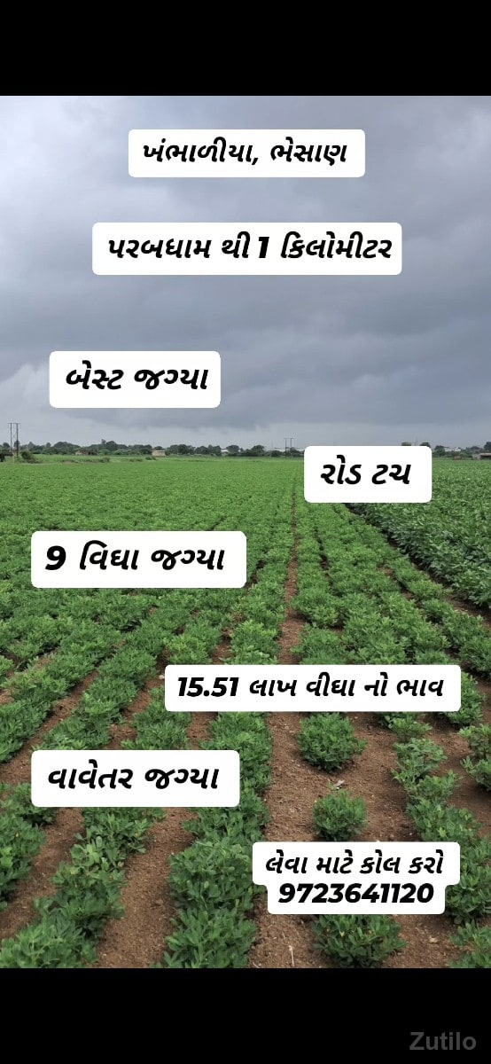 વિપુલભાઇ મો: 9723641120 - જમીન અને પ્લોટ - ભેસાણ - Image 2