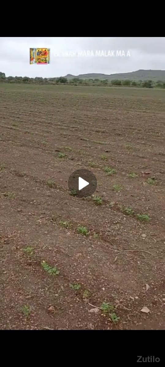 ઈલીયાસ ભાઈ ઘુઘા ૯૪૨૭૫૮૩૮૩૬