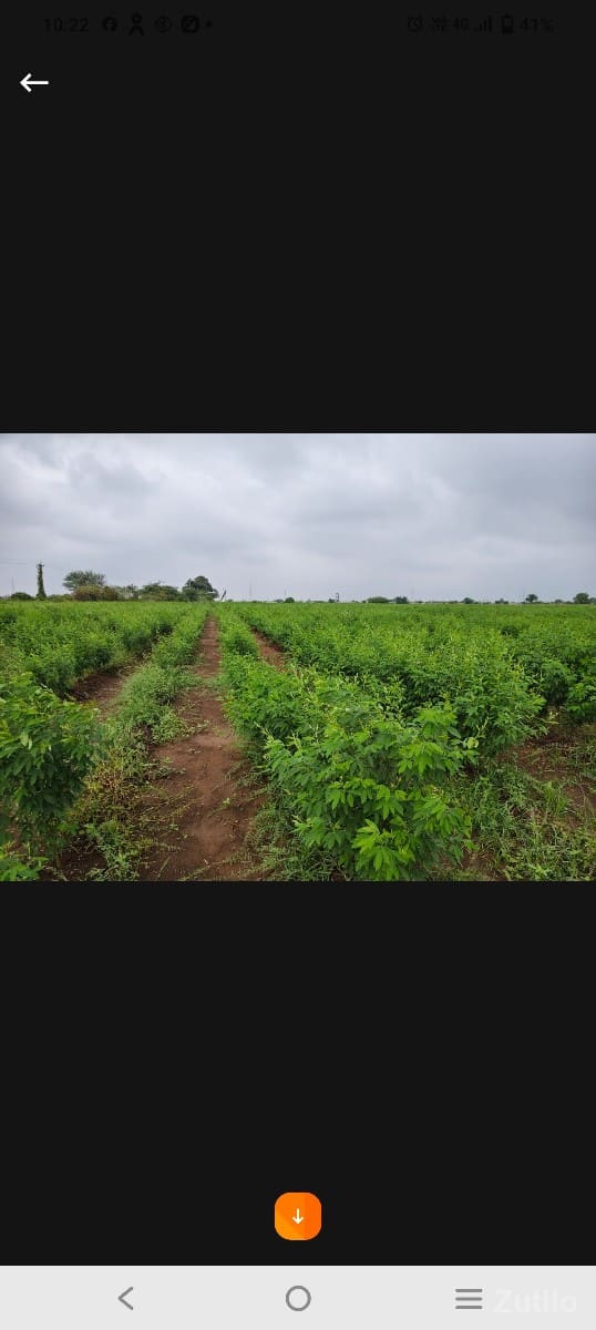 તાલુકો વંથલી જિલ્લો જુનાગઢ જમીન