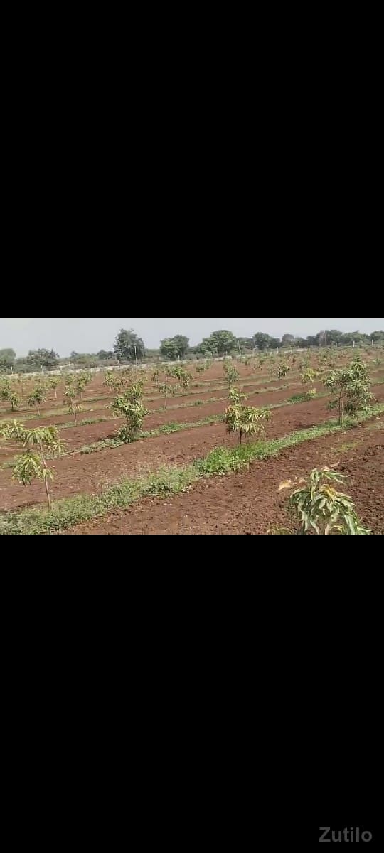 જમીન - Land & Plots - Somnath - Image 2