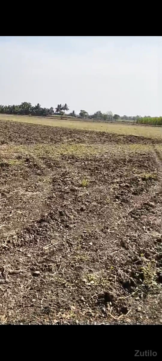 જમીન - Land & Plots - Somnath - Image 3