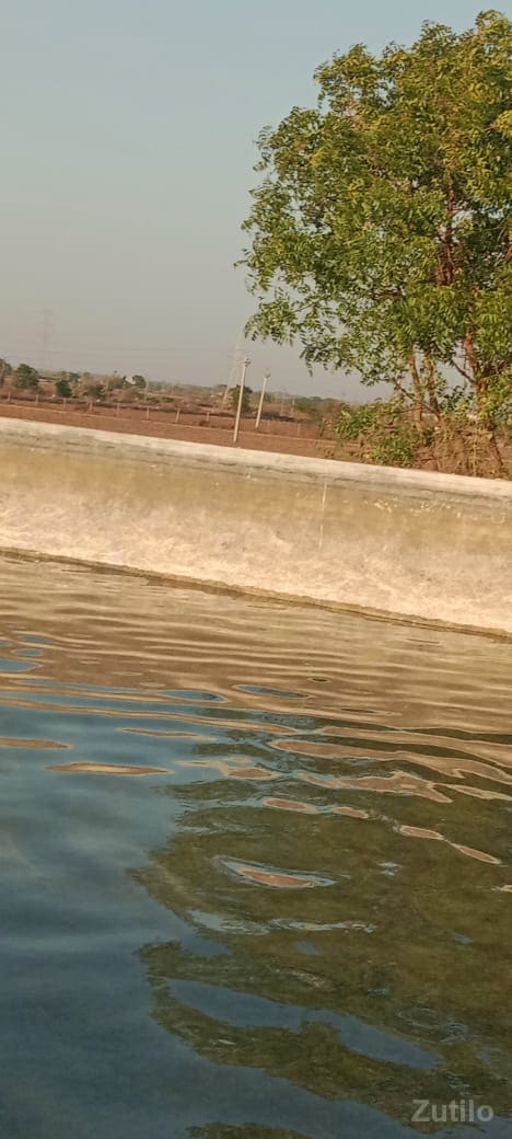 25 વીઘા હાઇવે ટચ જમીન વેચવાની છે - Land & Plots - Lalpur - Image 3