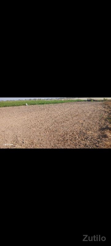 Jamin che 2.5 Vishal ne 2 gutha - જમીન અને પ્લોટ - ભાણવ - Image 3