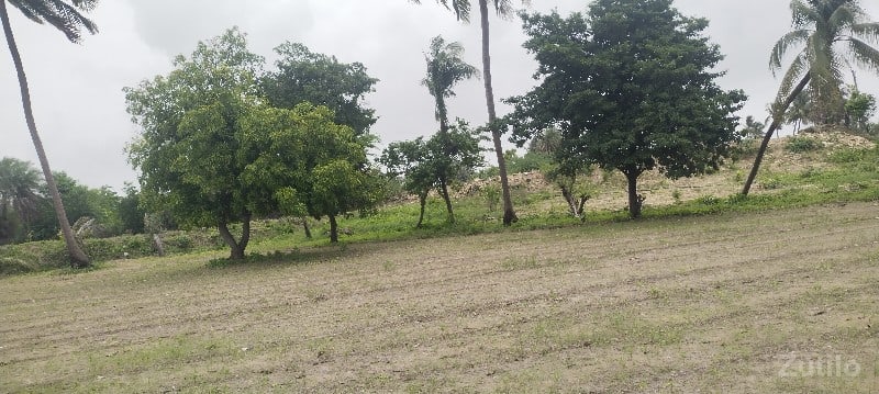 જમીન વેચવાની છે જમીન વેચવાની છે