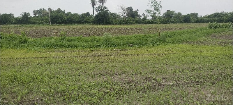 જમીન વેચવાની છે - Land & Plots - Somnath - Image 3