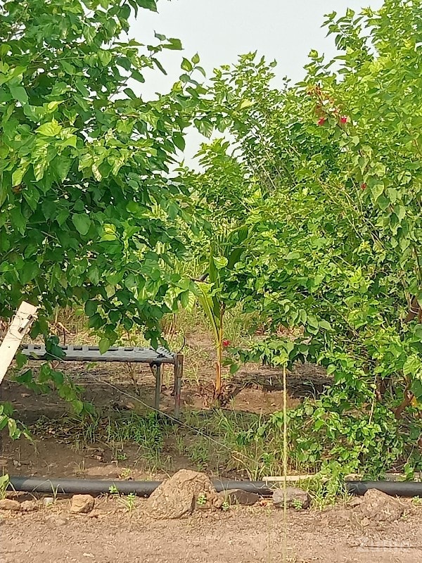 જમીન વેચવાની છે જમીન વેચવાની છે