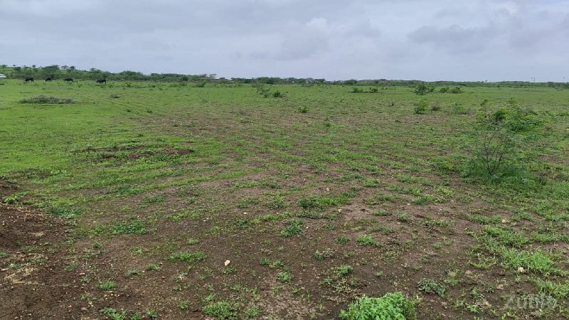 જમીન વેચવાની છે - મોબાઈલ 8928481945 - Land & Plots - Lalpur - Image 2