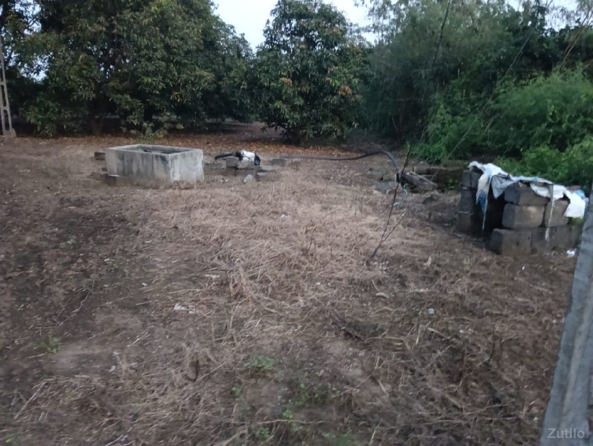12 વિધા જમીન વેચવાની છે - Land & Plots - Keshod - Image 3